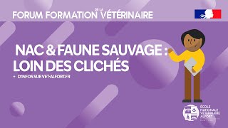 Conférence FFVET24 NAC amp Faune sauvage loin des clichés [upl. by Nnayllek]