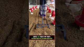 Poultry Raking Machine farming poultry chicken agriculture [upl. by Ttsepmet]