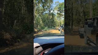 Driving into the property for the first time landownership landdevelopment tenacres [upl. by Dardani]