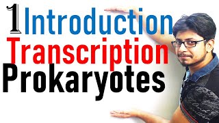 Transcription in prokaryotes introduction  Transcription lecture 1 [upl. by Sevy]