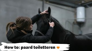 HOW TO paard toiletteren  20  Epplejeck [upl. by Aelber595]