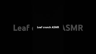 Leaf crunch ASMR [upl. by Ai]