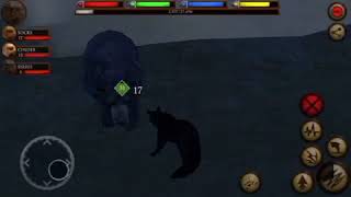 Ultimate Dog Simulator Episode 9 Bear Boss [upl. by Nwhas]