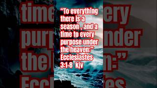 ECCLESIASTES 318 kjv bibileverse youtubeshorts [upl. by Edbert226]