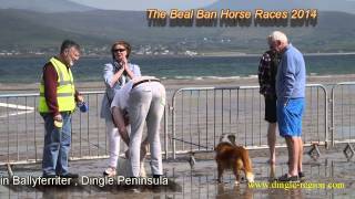 The Beal Ban Horse Races 2014 [upl. by Ayikaz]