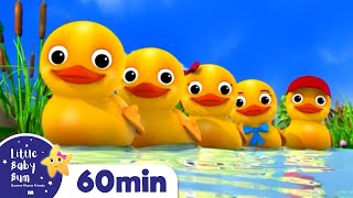 Counting Duck Song More Nursery Rhymes and Kids Songs  Little Baby Bum [upl. by Ripleigh667]