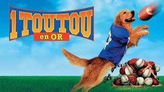 1 TOUTOU EN OR Air Bud Golden Receiver  Film Complet [upl. by Ynnavoj17]