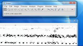 Stomata Analysis in Image J [upl. by Verger]