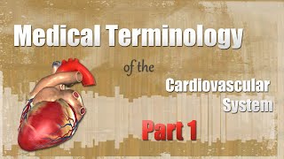 Medical Terminology of the Cardiovascular System Part 1 [upl. by Nnaylrebmik]