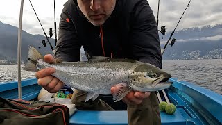 Pesca a traina sulla trota di lago  Ticinopesca [upl. by Ruder683]