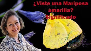 Significado de ver una mariposa amarilla Guía Ángeles y Arcángeles [upl. by Mossberg]