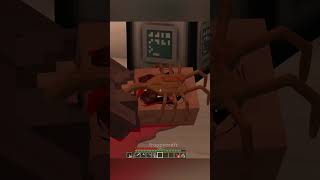 Minecraft Meme [upl. by Leile]