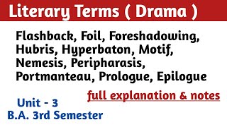 BA 3rd Semester Unit 3 Literary Terms  Drama  BA 3rd sem English literature literary terms [upl. by Ayhtin]