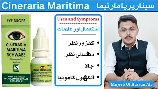 Cineraria Maritima Schwabe eye drops benefits in Hindi  Cineraria Maritima Eye Drops [upl. by Neerac]