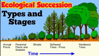 Ecological Succession  Primary and Secondary succession  Stages of Xerosere Hindi urdu [upl. by Kilan]