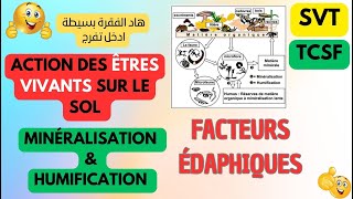 ⭐TCSSVTECOLOGIE⭐  facteurs édaphiques  minéralisation amp humification svt tcs [upl. by Akieluz]