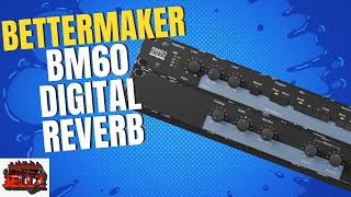 Achieve ProLevel Sound with the BetterMaker BM60 Reverb [upl. by Vickie]