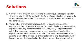 LIVE CLASS CHROMOSOMES AD ESSAY WRITING [upl. by Gretna]