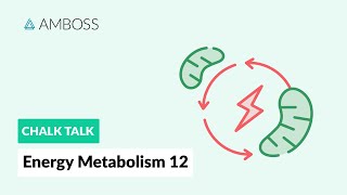 Energy Metabolism  Part 12 Ketone Body Metabolism [upl. by Reynolds]