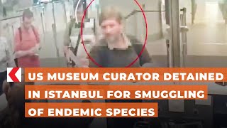 US museum curator detained in Istanbul for smuggling of endemic species [upl. by Kcirad150]