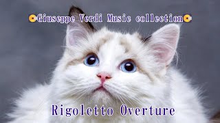 💽Classical Giuseppe Verdi 💽Music collection Rigoletto Overture BGM [upl. by Attennot]