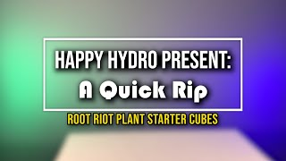 Root Riot Plant Starter Cubes  Happy Hydro Mini Series A Quick Rip [upl. by Cecilla]