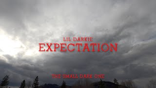 LiL Darkie  expectation Lyrics [upl. by Rinna]