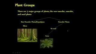 Biology  Plant Groups amp Development The Basics [upl. by Yesak]