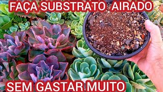 SUBSTRATO CASEIRO para PLANTASSUCULENTASCACTOSOtimo para época de chuva [upl. by Nnylyahs]