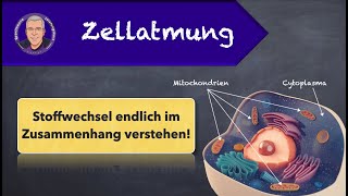 Zellatmung  einfach erklärt [upl. by Annod]