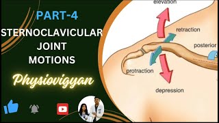 Motions of Sternoclavicular joint Biomechanics ll sternoclavicular Motion [upl. by Morten]