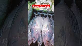 Belgaum Fish Market🐟🐠 Marati trending song [upl. by Livesay]