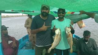 mangrove fishing Karachi  Karachi fishing bootm fishing [upl. by Akinaj]