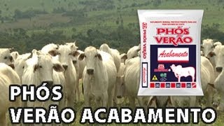 Phós Verão Acabamento Rubens Fioramonte [upl. by Osnerol]