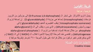 تحليل ألدولاز Aldolase Test [upl. by Fenn949]