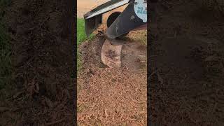 The MOST useful tractor implement NOBODY HAS Stump Grinder shorts asmr satisfying johndeeere [upl. by Jennine357]