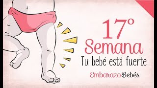 SEMANA 17 de Embarazo  4º Mes  Semana a semana [upl. by Akimas]