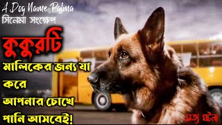 সত্য ঘটনা অবলম্বনে  Palma 2021 Movie Bangla Explained  A Story Of a Dog  Emotional [upl. by Daron]