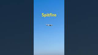 Spitfire 스핏파이어 [upl. by Pace707]