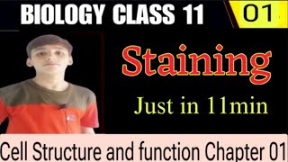 What is Staining Class 11 Biology Chapter 1 Lecture 1 [upl. by Nahte179]