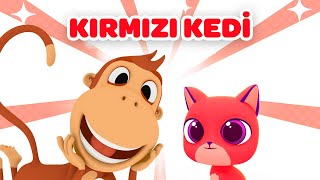 Kırmızı Kedi Miyav Miyav 🐈 YENİ MİYAV MİYAV KEDİ ŞARKISI  Renkleri Öğreniyoruz [upl. by Ccasi]