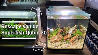 Dutch De Superfish Qubiq 30 Aquarium rescapen  ExoticAquaticanl [upl. by Ozkum769]