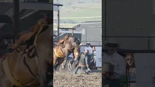 Ranch Bronc Riding cowboys rodeo horses [upl. by Osnohpla570]