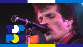 Mink DeVille  Demasiado Corazon Too Much Heart  Live in 1985 • TopPop [upl. by Ahsataj]