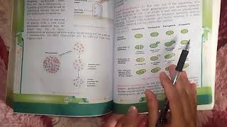 SPECIATION WITH ITS TYPES DETAILED EXPLANATION FROM NEW BOOKXII BIOLOGY CHAPTER 24 EVOLUTION [upl. by Ariela]