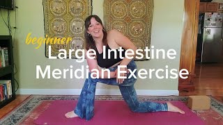 Beginner Large Intestine Meridian Exercise [upl. by Eddi]