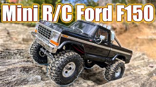 Elevated RC 4x4 OffRoad Experience Traxxas New TRX4m F150 [upl. by Namielus497]