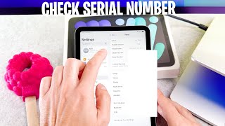 How To Check Serial Number In iPad Mini 2024 [upl. by Alwyn]