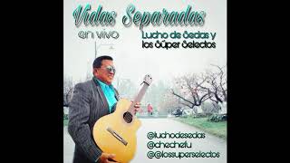 VIDAS SEPARADAS EN VIVO  LUCHO DE SEDAS Y LOS SUPER SELECTOS [upl. by Orva402]