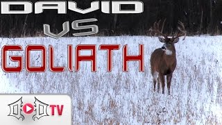 DAVID VS GOLIATH Largest Wild Buck EVER Caught On Camera [upl. by Dorkas]